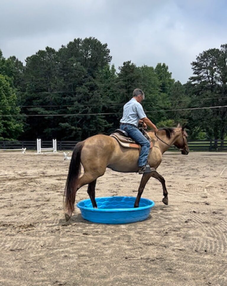 Ranch versatility 2-min