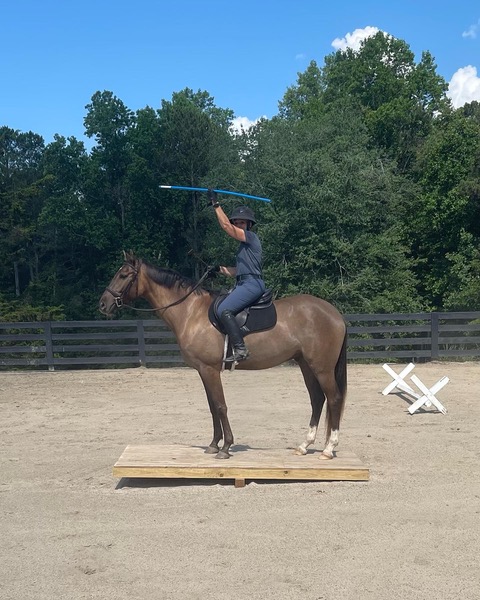 CFB66F55-EA8E-47DE-B3C7-1DB6B183C770