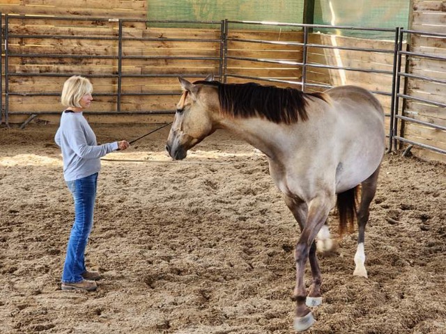 Resized_20230916_141026